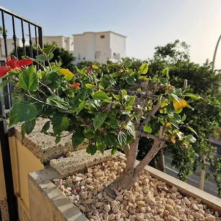 Lägenhet Golden Sunset Ocean View Costa Adeje (Tenerife)