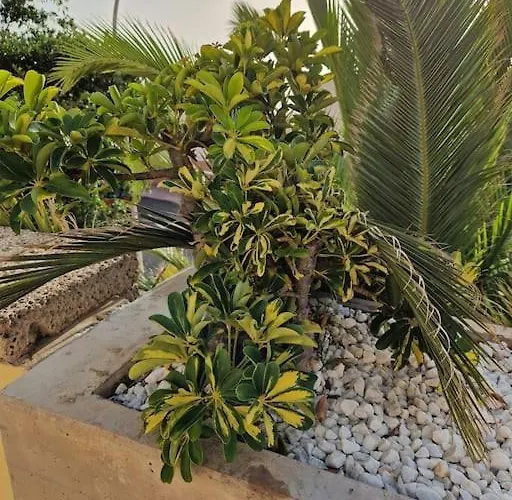 Apartment Golden Sunset Ocean View Costa Adeje (Tenerife)