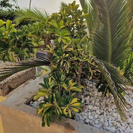 Апартаменти Golden Sunset Ocean View Адехе